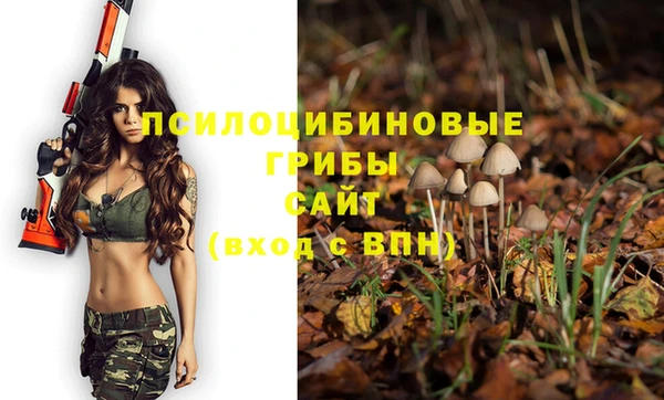 прущая мука Абдулино